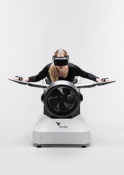 Birdly
